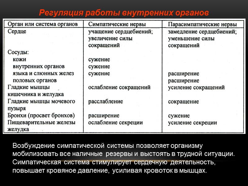 Регуляция работы внутренних органов  Возбуждение симпатической системы позволяет организму мобилизовать все наличные резервы